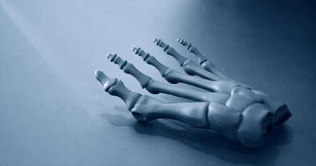 Gray prototype of the human foot skeleton printed on 3d printerの写真素材