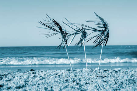 Three bright shiny colored cocktail decorations on stick stand in sand near seaの写真素材