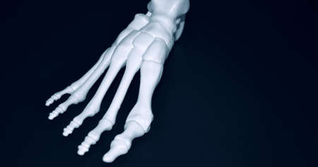 White prototype of the human foot skeleton printed on 3d printerの写真素材