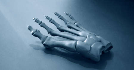 Gray prototype of the human foot skeleton printed on 3d printerの写真素材