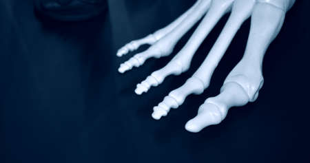 White prototype of the human foot skeleton printed on 3d printerの写真素材