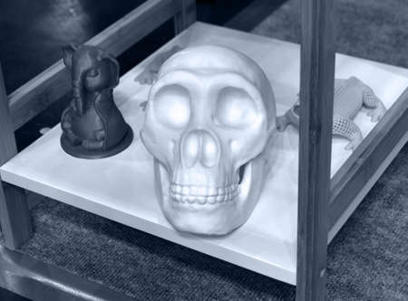 Human skull printed on 3D printer from plastic. New 3D printing technology.の写真素材