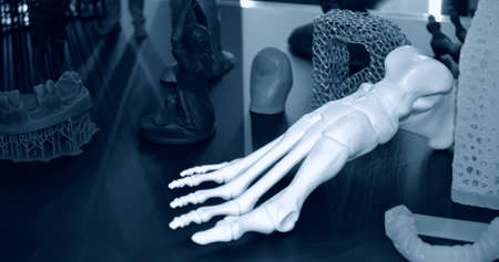 White prototype of the human foot skeleton printed on 3d printerの写真素材