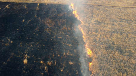 Aerial Drone View Over Burning dry grass and smoke in field. Flame and open fireの写真素材