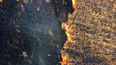 Aerial Drone View Over Burning dry grass and smoke in field. Flame and open fireの写真素材