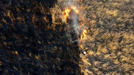 Aerial Fire extinguishing. Fireman extinguishing burning dry grass. Open flamesの写真素材