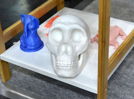 Models human skull prototypes printed on a 3D printer from plastic close-upの写真素材