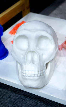 Models human skull prototypes printed on a 3D printer from plastic close-upの写真素材