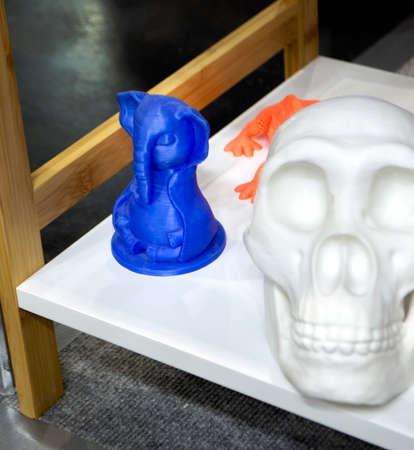 Models human skull prototypes printed on a 3D printer from plastic close-up