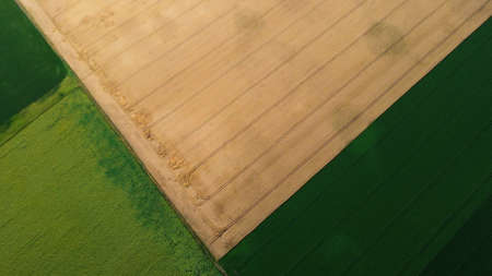 Panoramic top view of different agricultural fields. Parts of yellow wheat fieldの写真素材