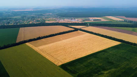 Panoramic top view of different agricultural fields. Parts of yellow wheat fieldの写真素材