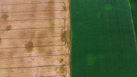 Aerial drone view border between yellow wheat field and green agricultural fieldの写真素材