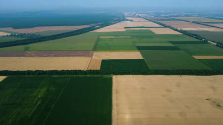 Panoramic top view of different agricultural fields. Parts of yellow wheat fieldの写真素材