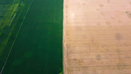 Aerial drone view yellow wheat field and green agricultural fieldの写真素材