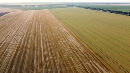 Aerial drone view flight over different agricultural fields field after harvestの写真素材