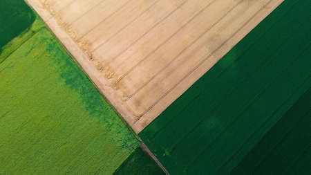 Aerial drone view yellow wheat field and green agricultural fieldの写真素材
