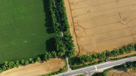 Aerial drone view over asphalt road intersection between agricultural fields