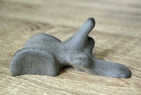 Prototype human spine bone printed on 3D printer. Model printed on 3D printerの写真素材
