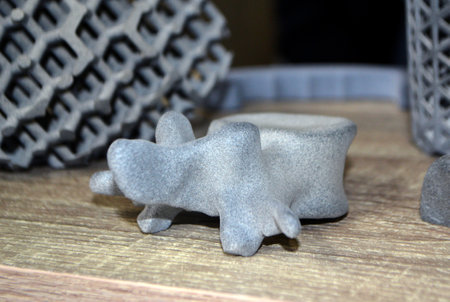 Prototype human spine bone printed on 3D printer. Model printed on 3D printerの写真素材