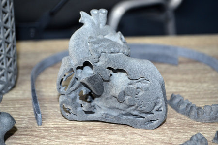 Prototype half of cut human heart printed on 3D printer.の写真素材