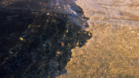 Aerial Drone View Flight Over two firefighters putting out fire in field with dry grass. Firefighter being in smoke extinguish flame. Environmental protection, global warming, changing of climate,の写真素材