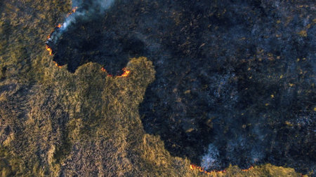 Aerial Drone View Over Burning Dry Grass and Smoke in Field. Flame and Open Fire. Top View Black Ash from Scorched Grass, Rising White Smoke and Yellow Dried Grass. Ecological Catastrophy, Environmentの写真素材