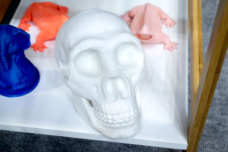 Human skull printed on 3D printer from plastic close-up. New 3D printing technology. Concept modern new progressive additive technology. 3D models created by additive 3d printingの写真素材