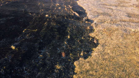 Aerial view Fire extinguishing. Fireman extinguishing burning dry grass. Open flames of fire and smoke. Yellow dry grass and black ash from burnt plants.Ecological catastrophy. Fire on field in steppeの写真素材