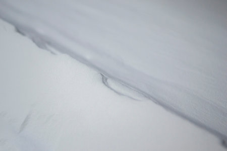 White polyamide powder for printing powder 3d printer close-up. Powder for high-speed printing of 3D printer on working surface inside printer. New modern printing technology. Multi Jet Fusion MJFの写真素材