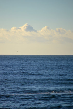 White cumulus clouds over the blue surface of the sea on sunny day. Beautiful natural background. Movement of clouds in the sky. Sky landscape. Seascape. White blue colors. Place for text, copy spaceの写真素材