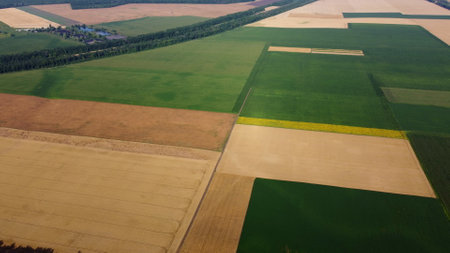 Agricultural fields. Yellow and green agricultural fields with ripe wheat and other different agricultural crops. Aerial drone view. Harvesting agrarian land. Growing cultivation agricultural crops.の写真素材