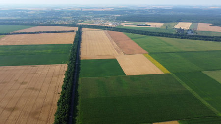 Agricultural fields. Yellow and green agricultural fields with ripe wheat and other different agricultural crops. Aerial drone view. Harvesting agrarian land. Growing cultivation agricultural crops.の写真素材