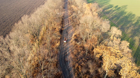 People riding in cart carriage with sacks and horses driving along dirt country road between trees without leaves on autumn sunny day. Rural countryside landscape, country scenery. Aerial drone viewの写真素材