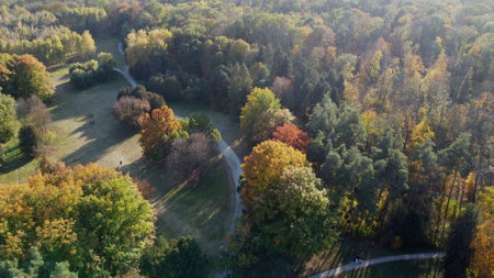 Flying over trees with yellow and green leaves in a park with dirt paths and people walking on a sunny autumn day. Forest wood woodland nature natural sunlight sunshine. Aerial drone view. Top view.の写真素材