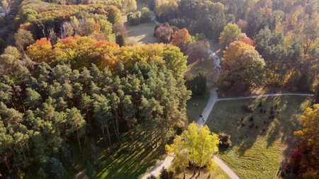 Flying over trees with yellow and green leaves in a park with dirt paths and people walking on a sunny autumn day. Forest wood woodland nature natural sunlight sunshine. Aerial drone view. Top view.の写真素材