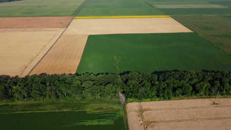 Agricultural fields. Yellow and green agricultural fields with ripe wheat and other different agricultural crops. Aerial drone view. Harvesting agrarian land. Growing cultivation agricultural crops.の写真素材