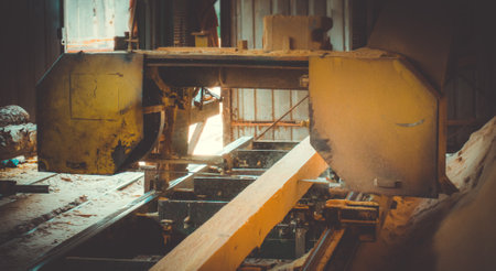 Sawmill. Process of machining logs in equipment sawmill machine saw saws the tree trunk on the plank boards. Wood sawdust work sawing timber wood wooden woodworkingの写真素材