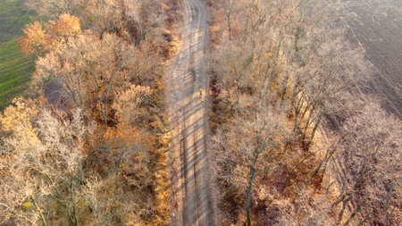 Person on orange jacket standing with bicycle on dirt country road between trees without leaves on autumn sunny day. Rural countryside landscape, country scenery. Aerial drone view. Travel tourismの写真素材