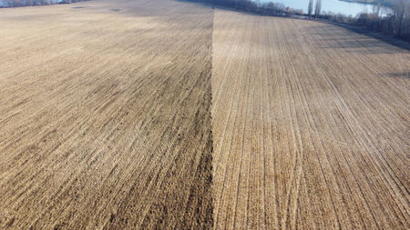 Half of large field after wheat harvest, half of field plowed. Flying over field with dry straw from wheat and brown dug up earth. Natural agricultural background. natural farming industrial backdrop.の写真素材