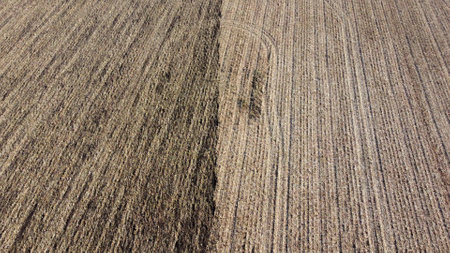 Tractor plowing the ground. Flying over green tractor that plows up ground in yellow field after harvesting wheat on autumn day. Tractor digging land. Agricultural work on field. Aerial drone viewの写真素材