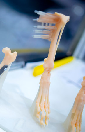 Implants and prostheses printed on 3D printer from biocompatible titanium powder. Plates for correction of deformation for animals. Titanium plates on animal bones printed on 3D printer.の写真素材