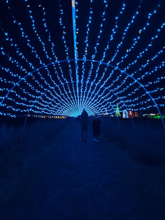 Silhouettes of people walking under the arch of a tunnel made of blue glowing garland. New Year Christmas luminous Decorationの写真素材