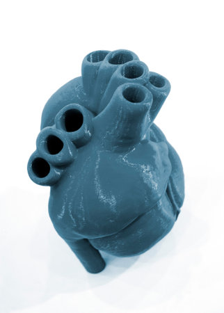 Prototype of the human heart printed on a 3D printer from blue plastic on a white background. New modern additive 3D printing medical technologiesの写真素材