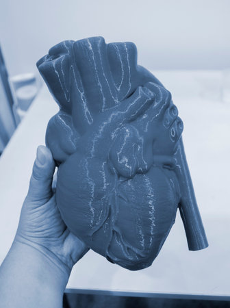 Prototype of the human heart printed on a 3D printer from blue plastic on a human hand. New modern additive 3D printing medical technologiesの写真素材