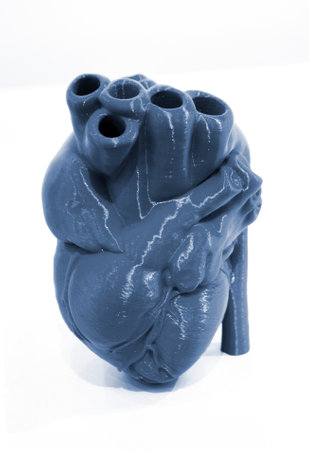 Prototype of the human heart printed on a 3D printer from blue plastic on a white background. New modern additive 3D printing medical technologiesの写真素材