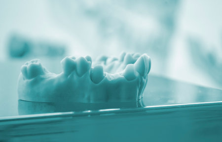 Prototype of human jaw gums and teeth printed on 3D printer from hardened rubber. Model of human lower gum with teeth created on 3D printer from hardened rubber under influence of ultraviolet light.の写真素材