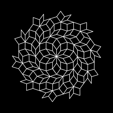 pattern parquet and penrose mosaics. black vectorのイラスト素材