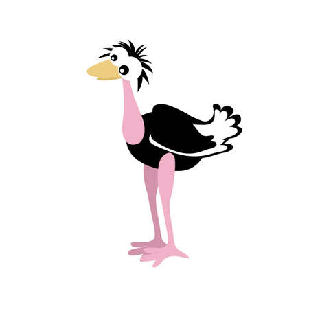 ostrich in 2d cartoon style. flat isolated vectorのイラスト素材