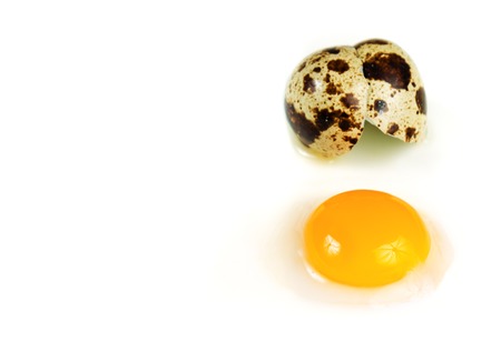 Broken quail egg with shell on a white backgroundの写真素材