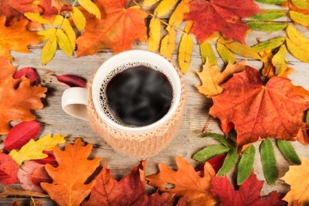 Hot drink in a large cup colorful autumn leaves on a wooden table surface